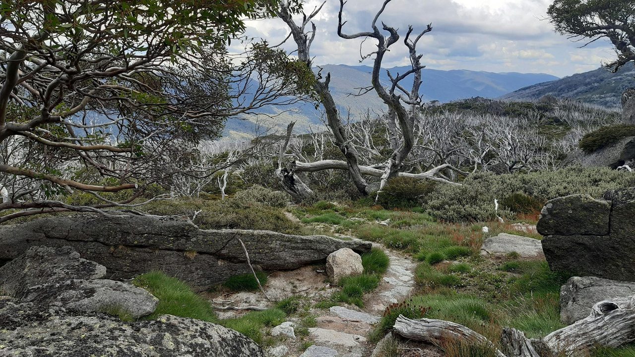 Charlotte Pass Village to Perisher Valley, Snowies Alpine Walk.