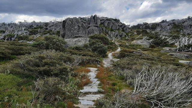 Charlotte Pass Village to Perisher Valley walk