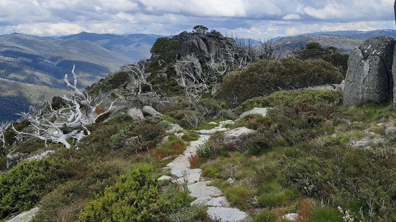 Charlotte Pass Village to Perisher Valley, Snowies Alpine Walk.