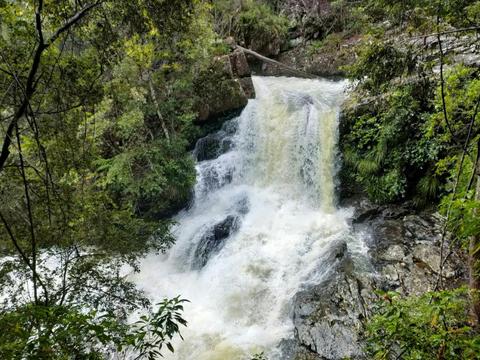 BCU Rumble in the Jungle Trail Run