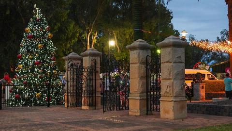 Carols in the Park