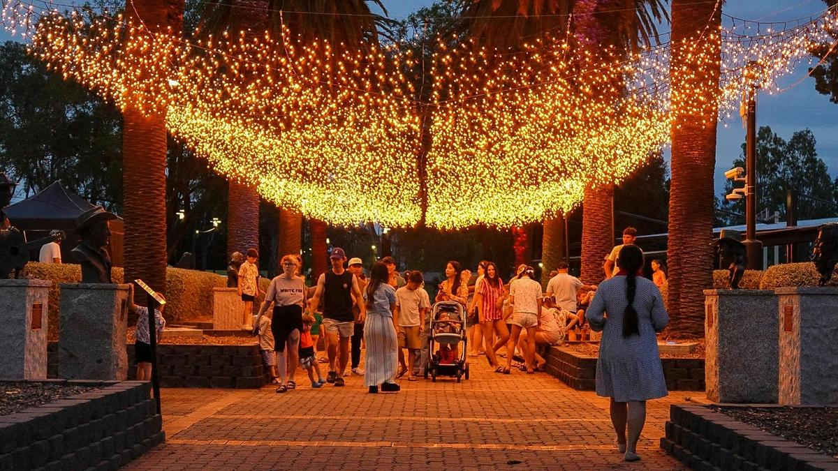 Carols in the Park