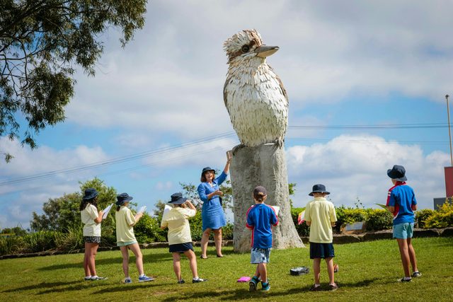 Big Kookaburra