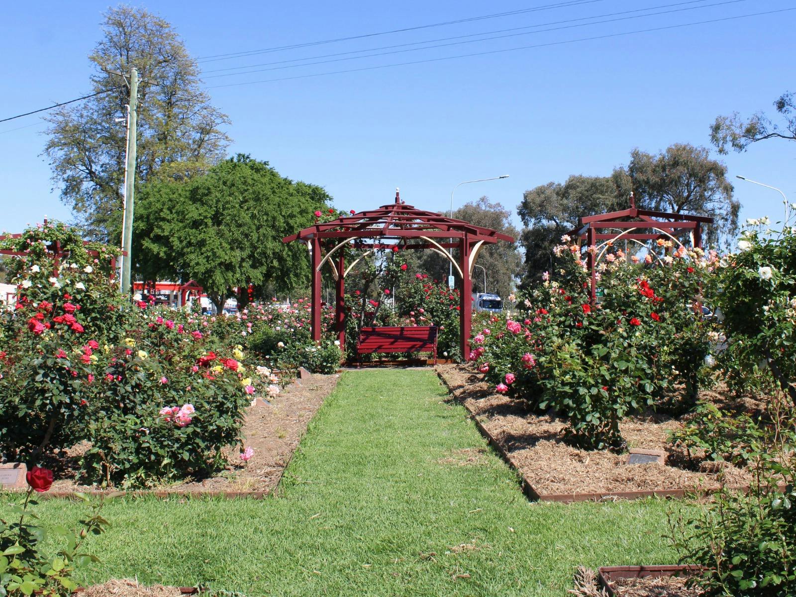 Cowra Rose Garden