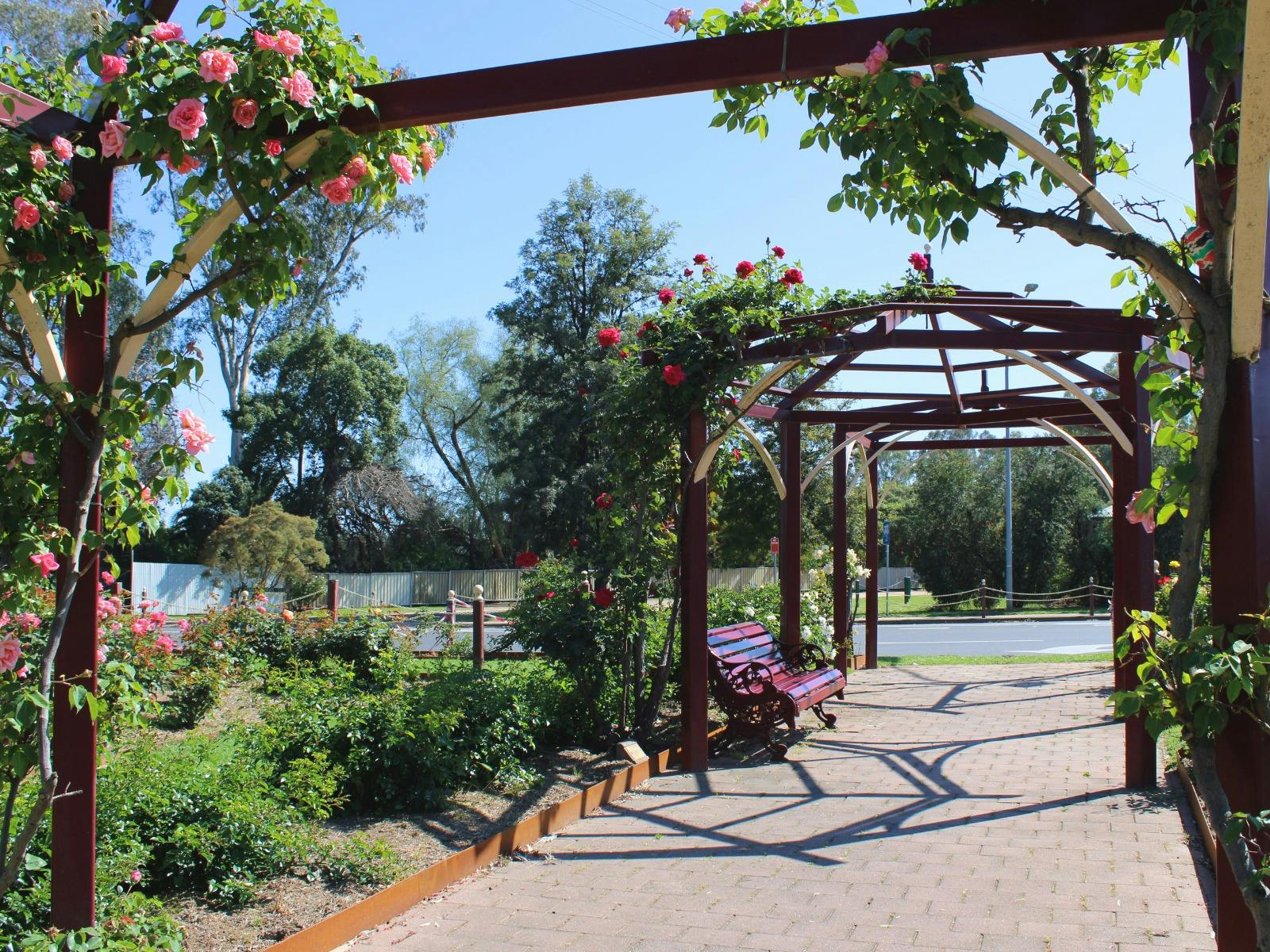 Cowra Rose Garden