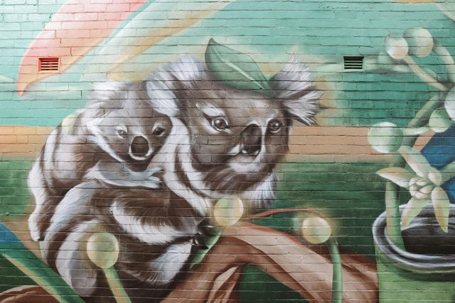 Christina Huynh (STYNA) Macleay River Mural