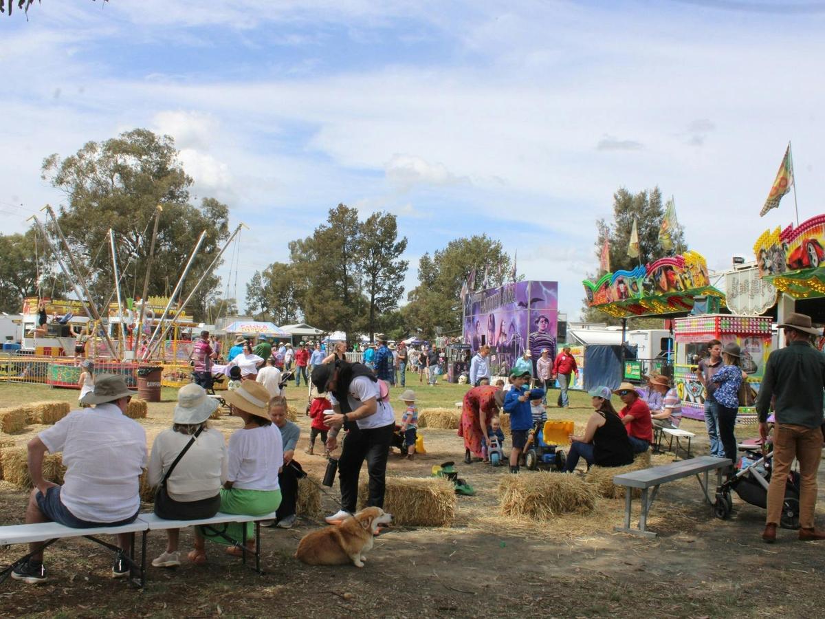 Crowd Photo