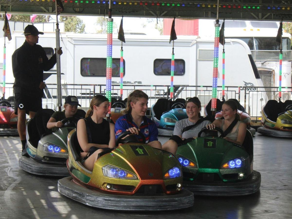 Dodgem Cars