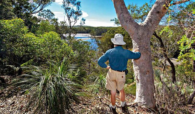 Corkwood and Scribbly Gum Walking Track