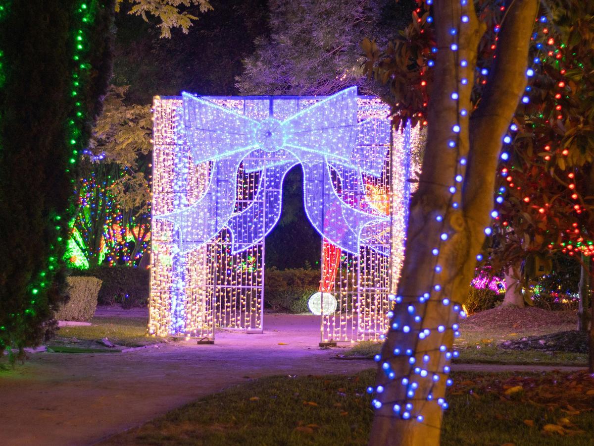 Christmas Lights Spectacular