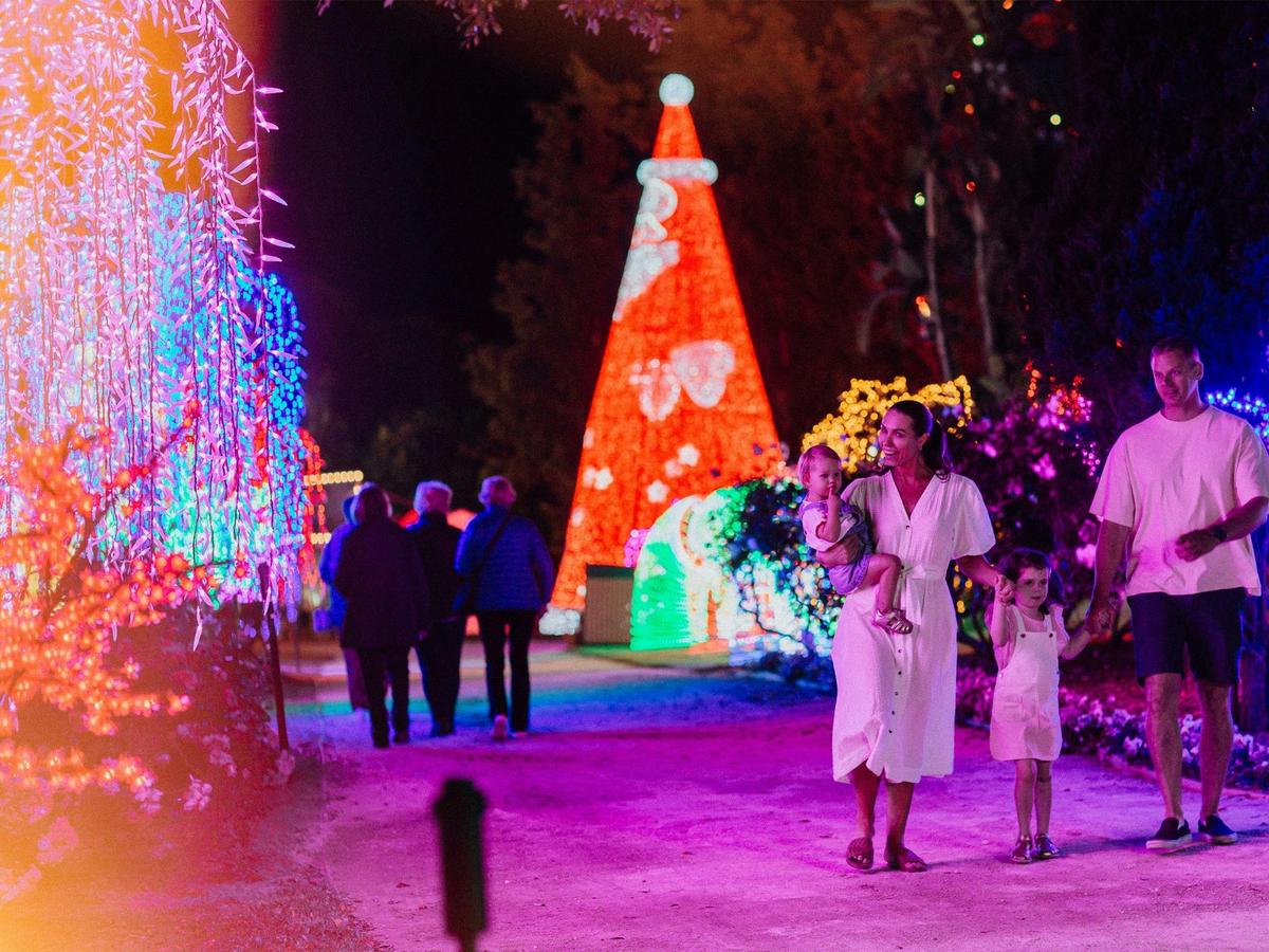 Christmas Lights Spectacular