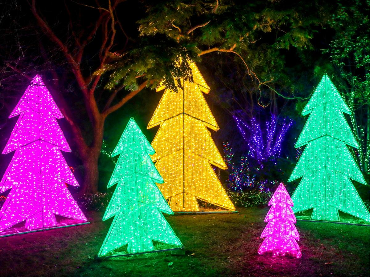 Christmas Lights Spectacular
