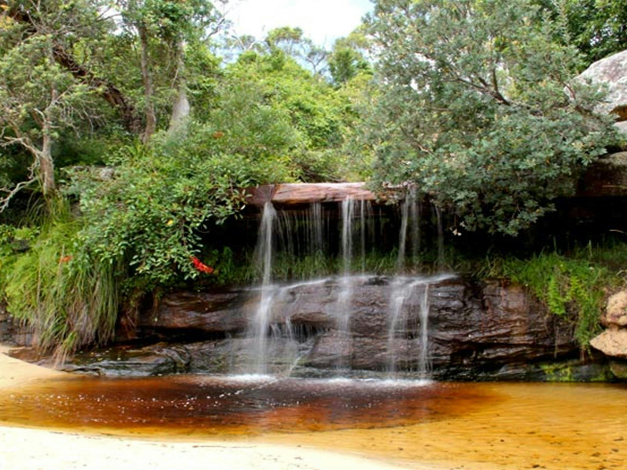 Collins Flat Beach, Sydney Harbour National Park. Photo: John Yurasek/NSW Government