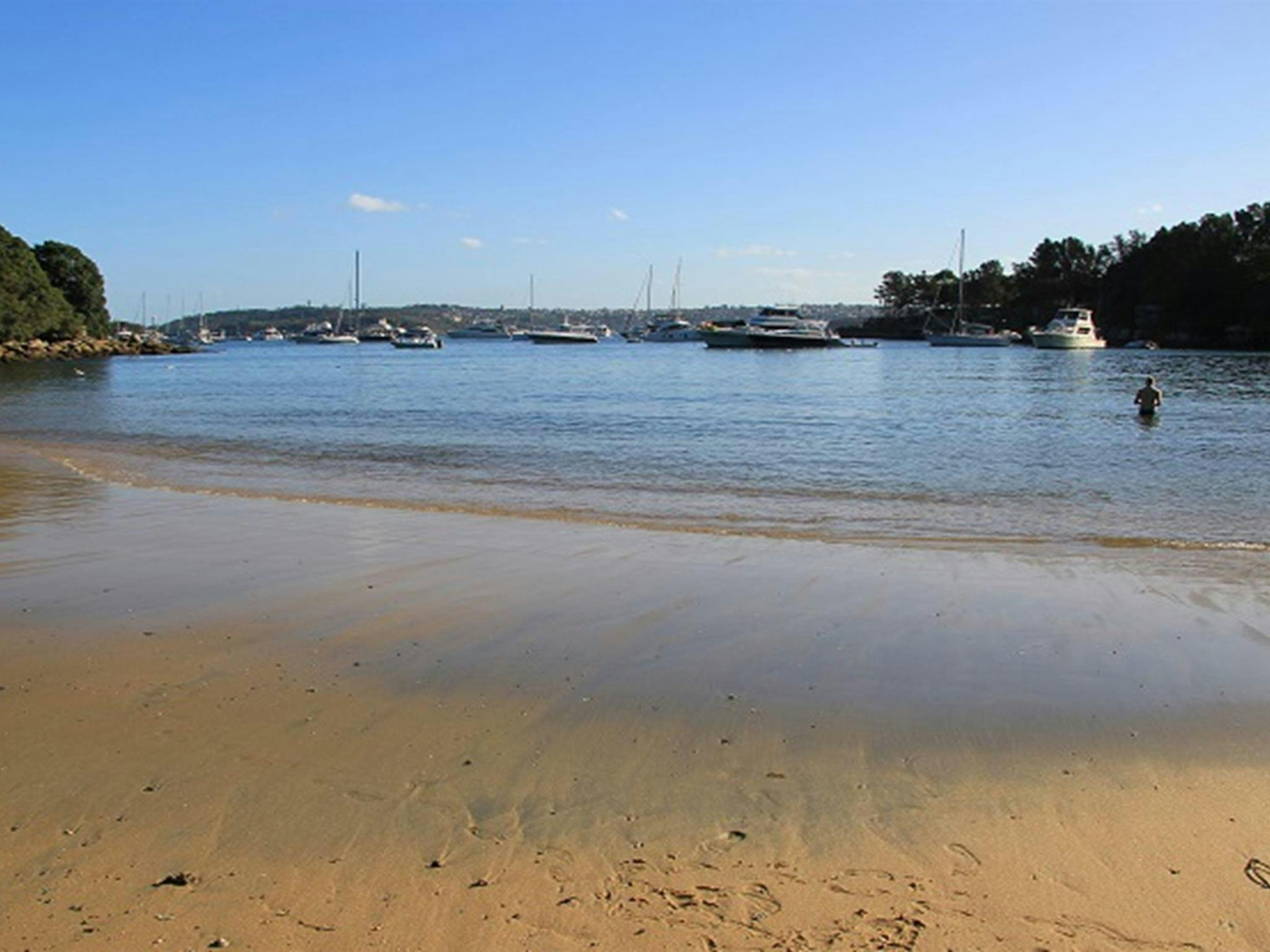 Collins Flat Beach, Sydney Harbour National Park. Photo: Natasha Webb/OEH