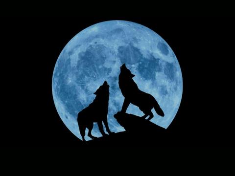 Creedence Clearwater Collective