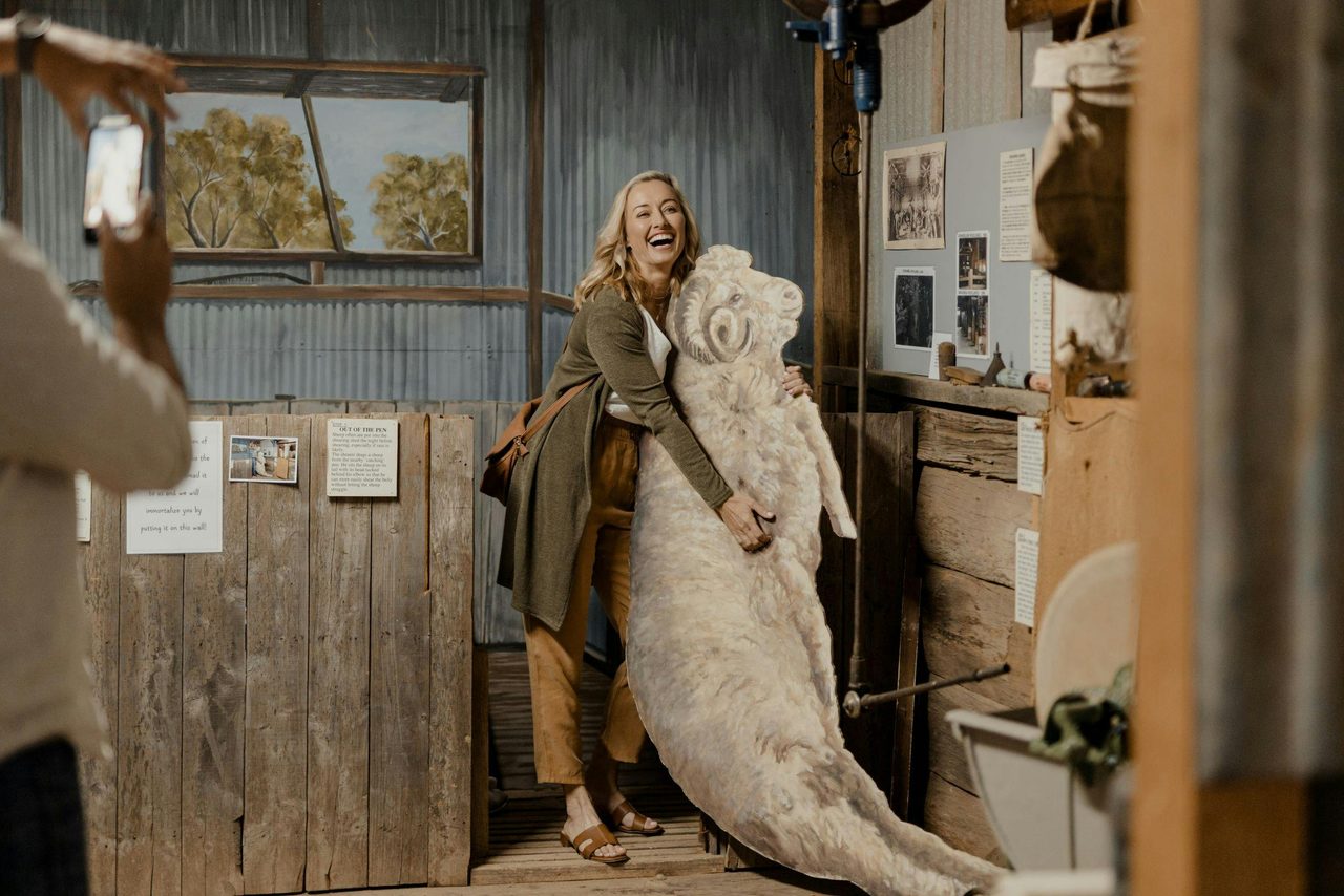 Shearing the Rams Display at the Federation Museum