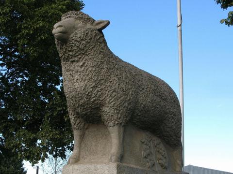 Guyra Lamb and Potato Festival