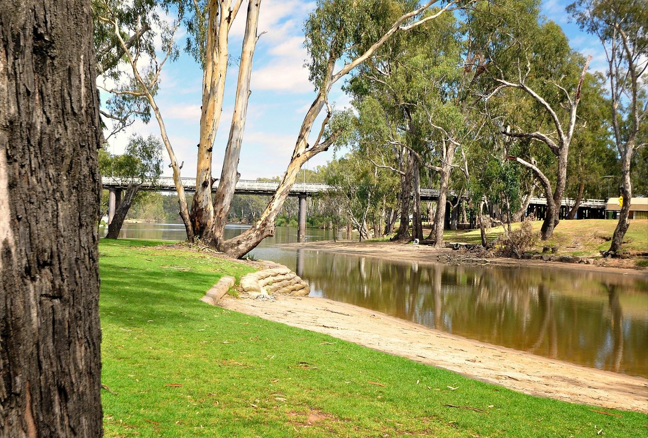 Corowa Lagoon