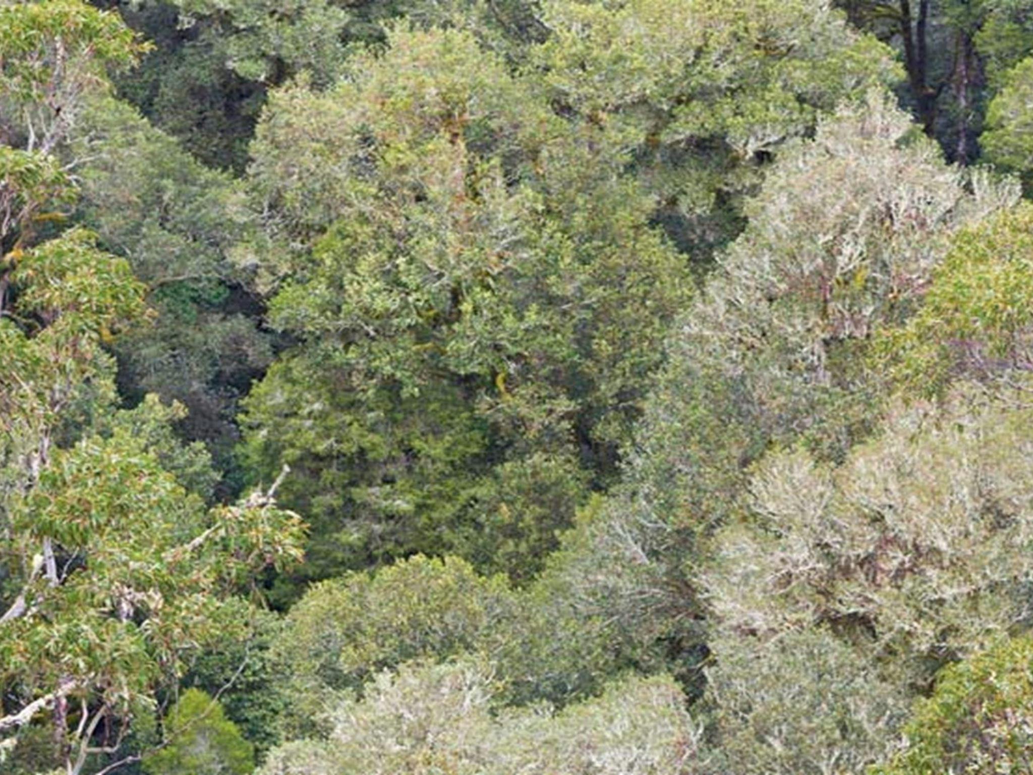 Cunnawarra National Park. Photo: Robert Cleary &copy; DPIE