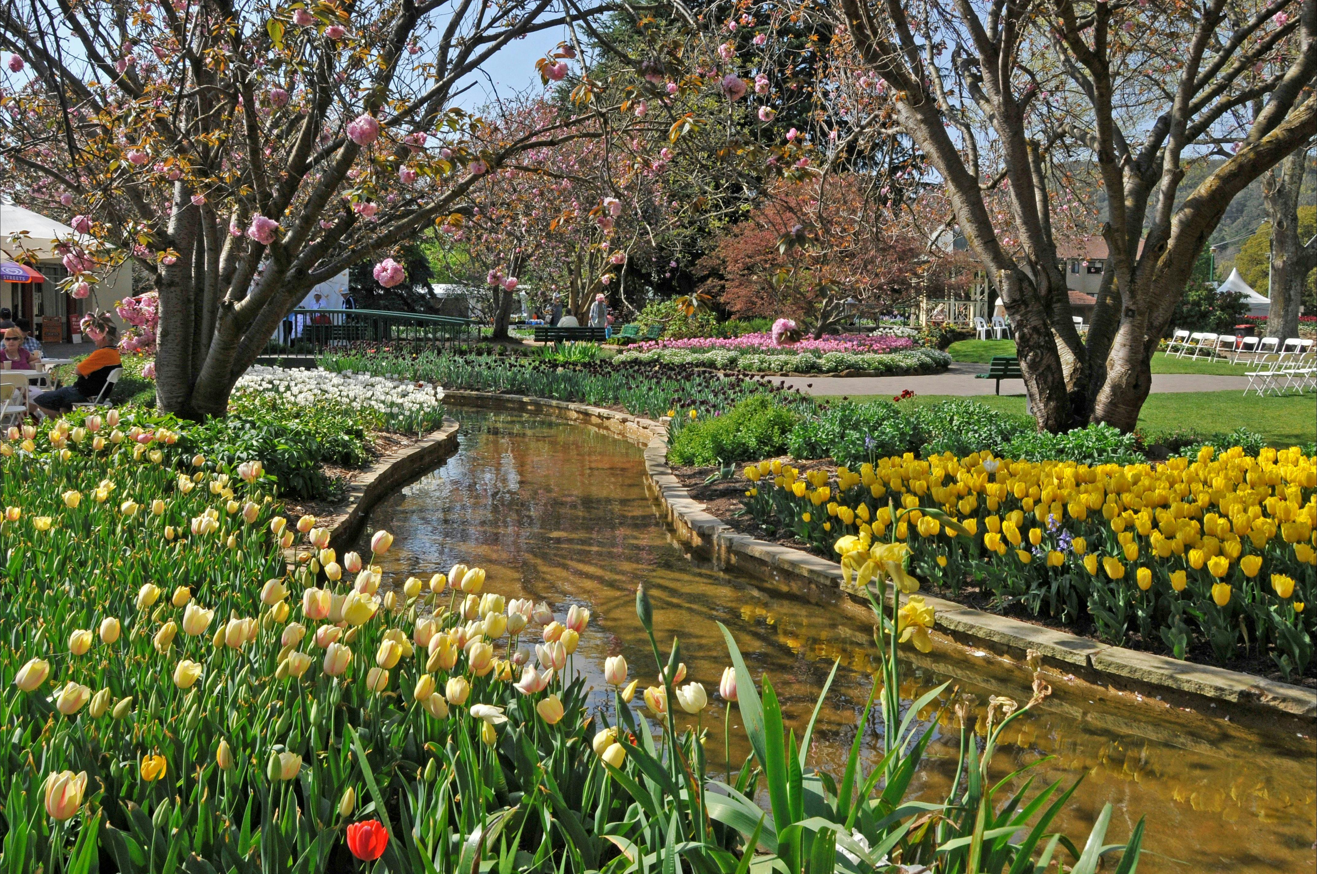 Corbett Gardens during Tulip Time