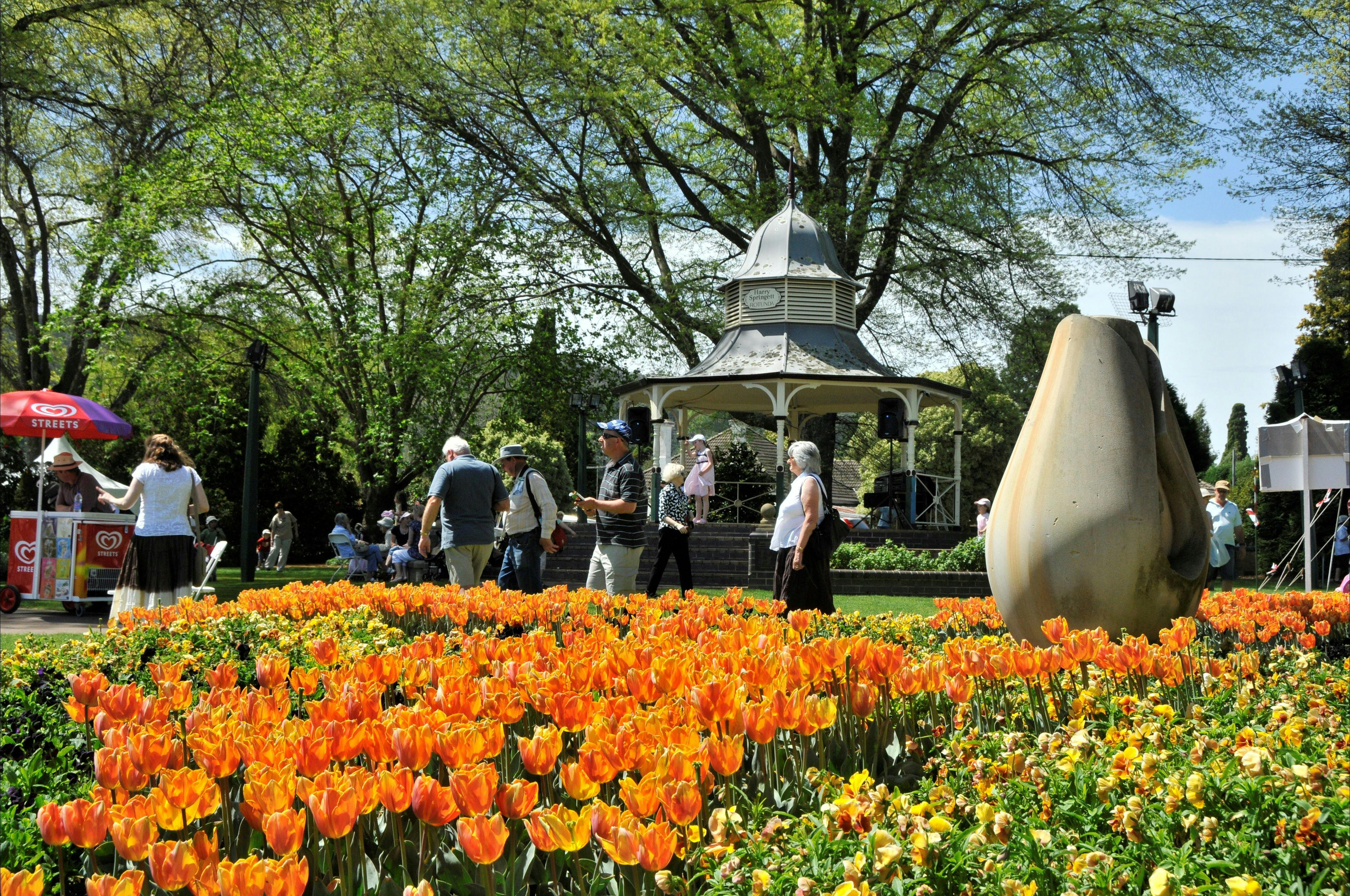 Corbett Gardens during Tulip Time
