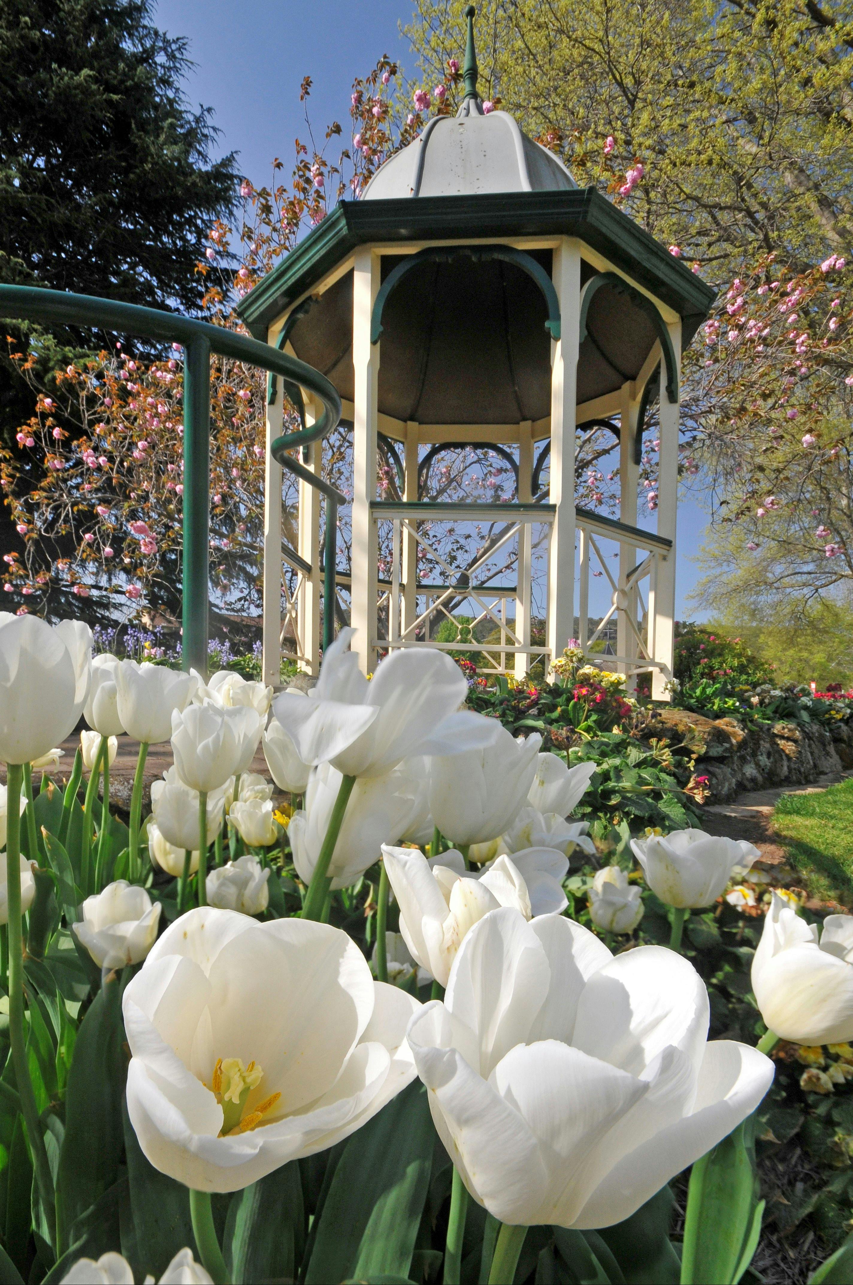 Corbett Garden Rotunda