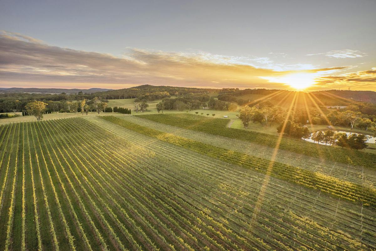 Scenic country views surrounding Centennial Vineyards, Bowral in the Southern Highlands region.