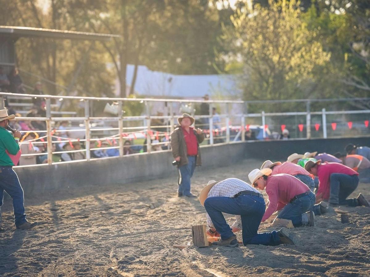 Billy boiling competition