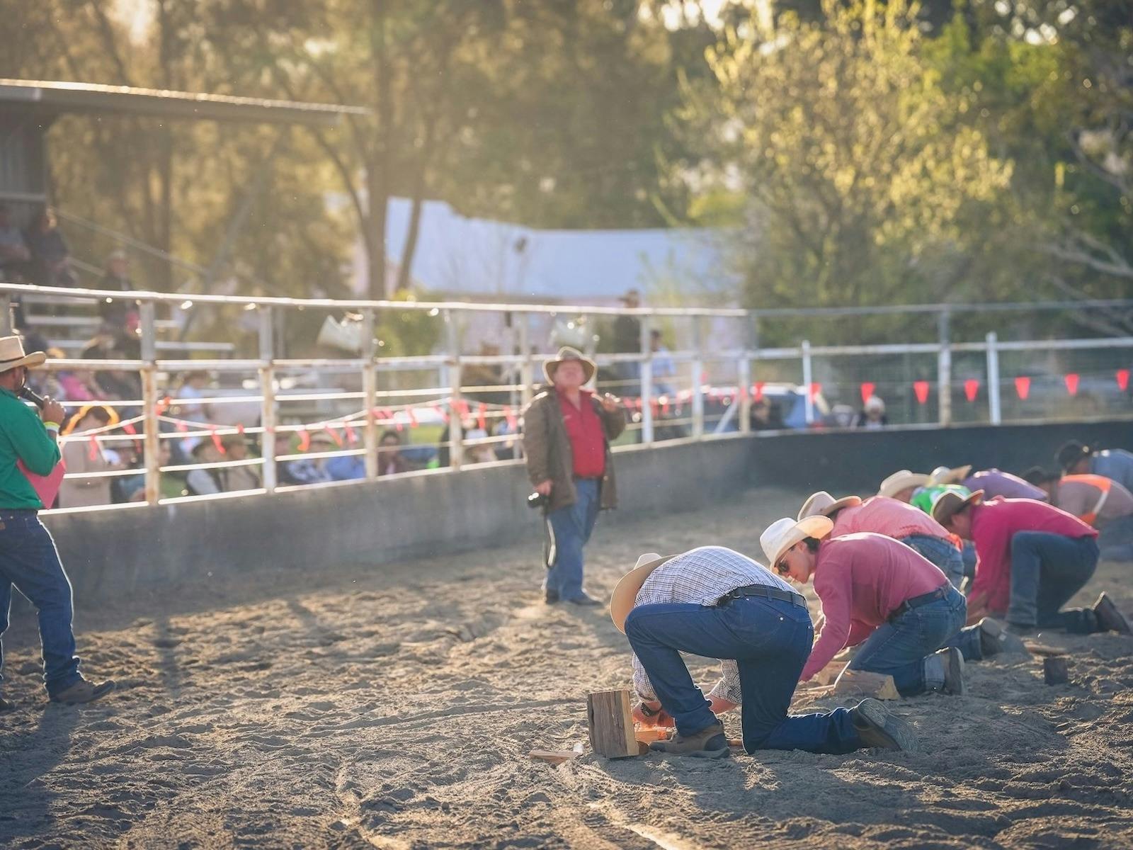 Billy boiling competition