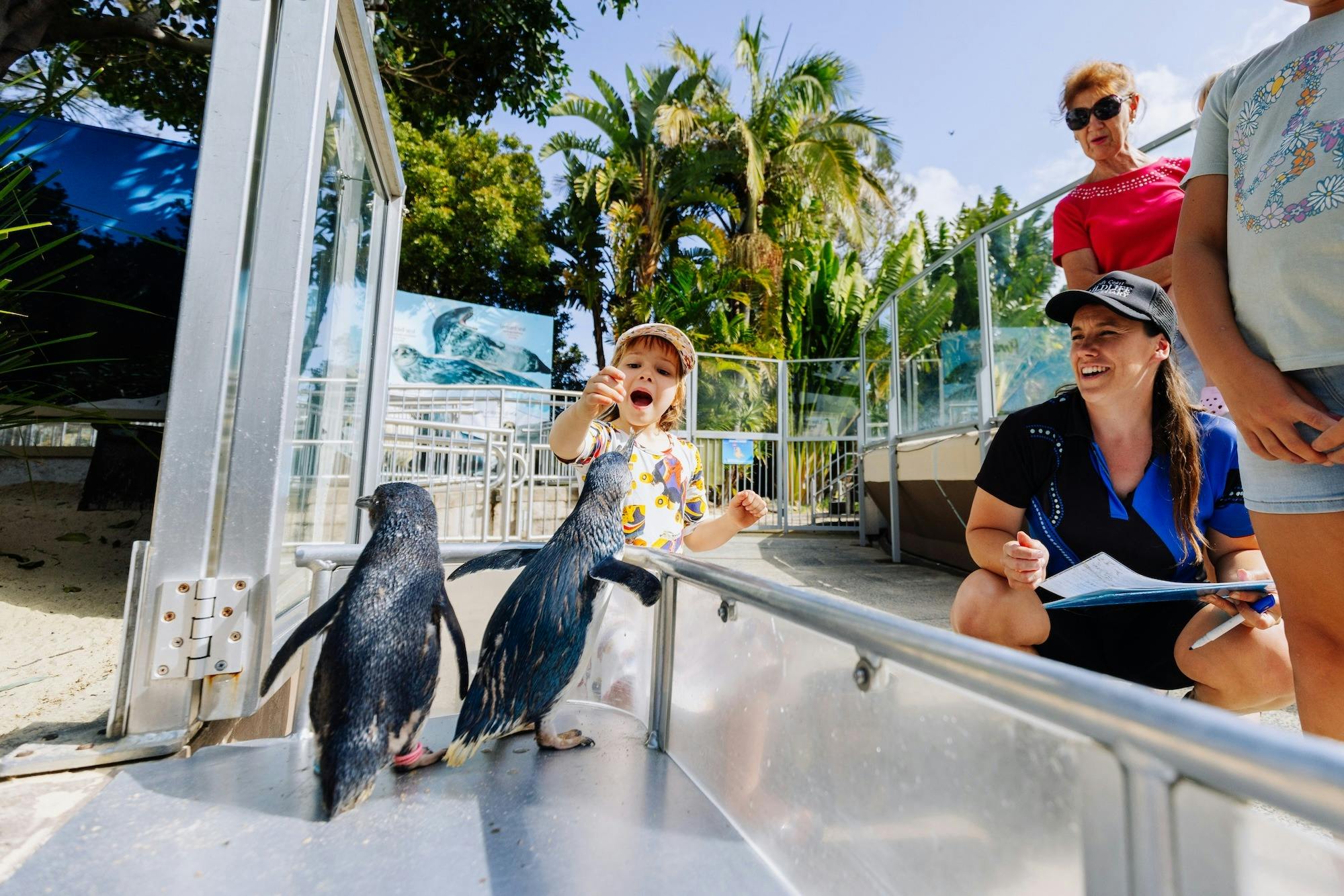 Meet the penguins - learn about the flock, or get up close with a private encounter.