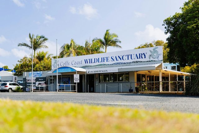 Coffs Coast Wildlife Sanctuary