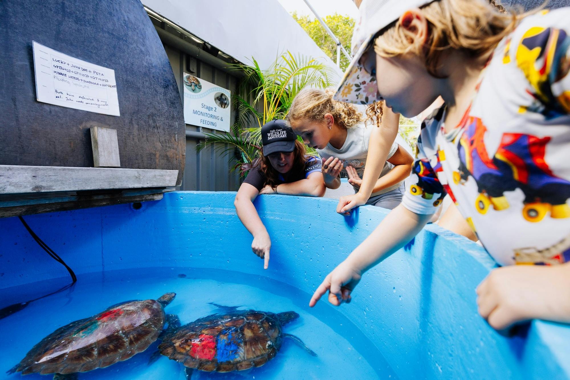 Learn about our rescue facilities, and rehabilitation program for sea turtles.