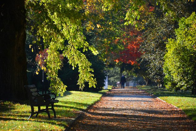 Cook Park Heritage Walk