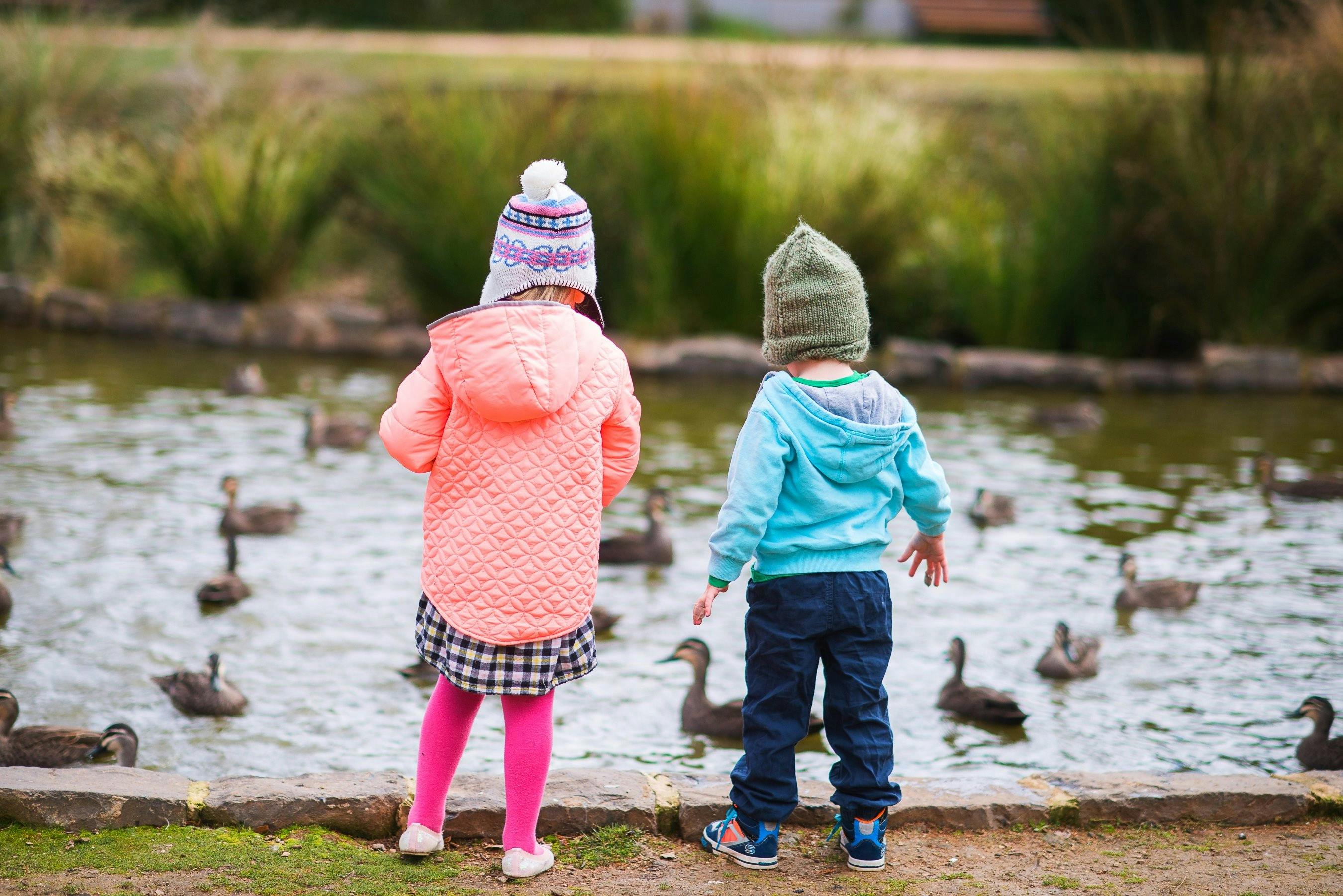 Cook Park duck pond, Orange NSW