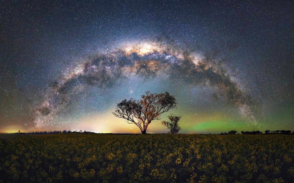 Forster Milky Way Masterclass - Field of Stars