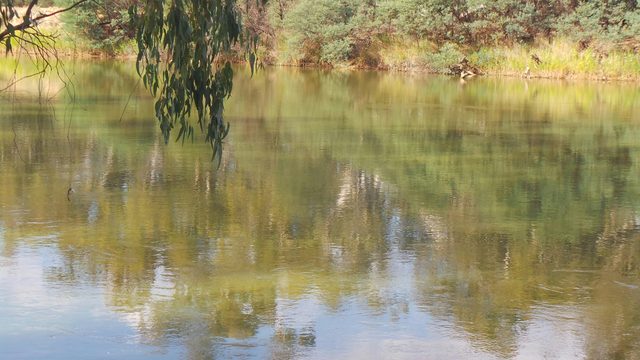 Corowa Common