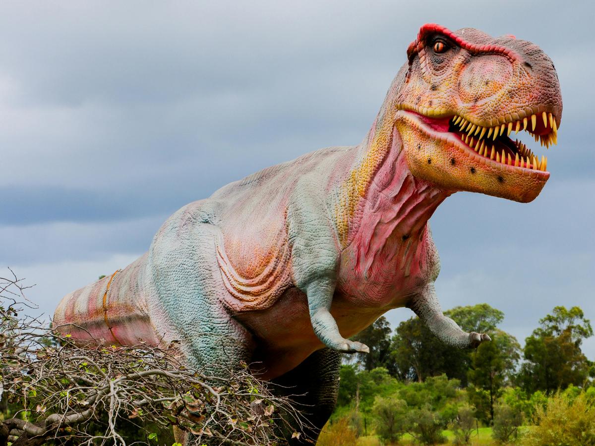 Mega Creatures