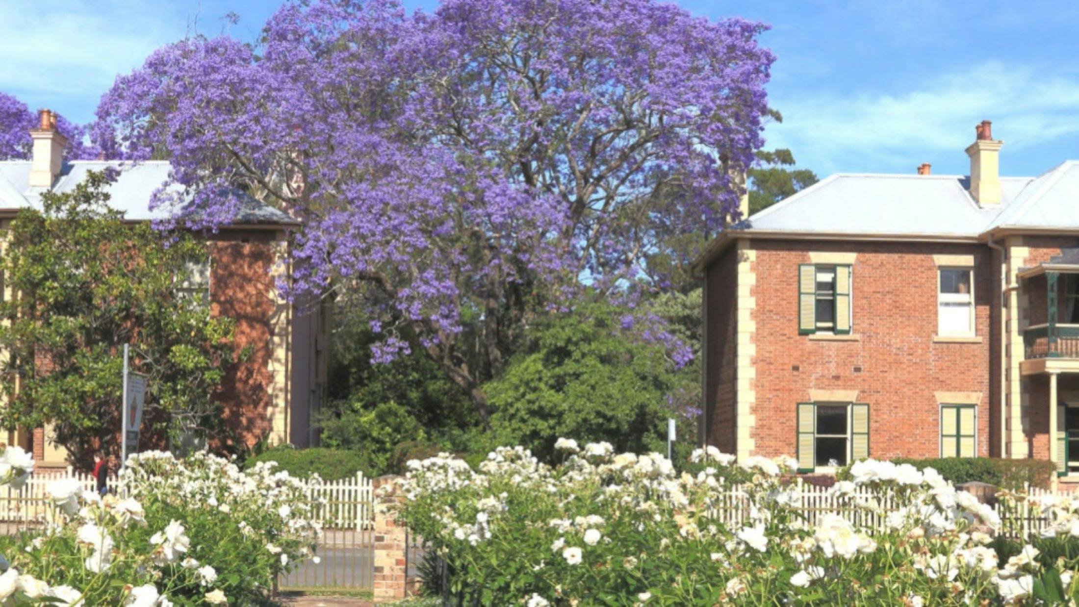 Grossmann and Brough Houses