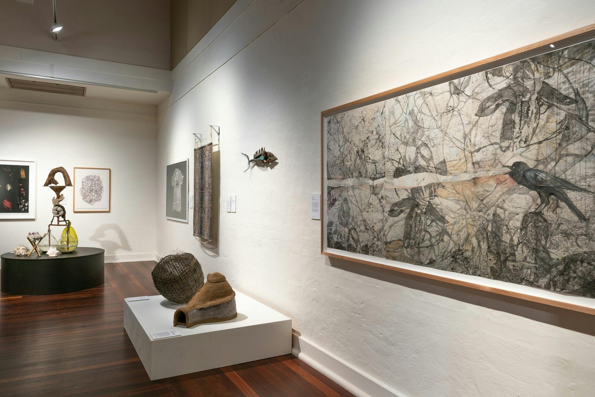 Curl Curl Creative Space