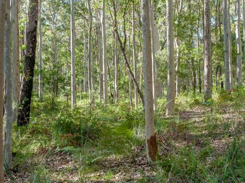 Corramy Regional Park