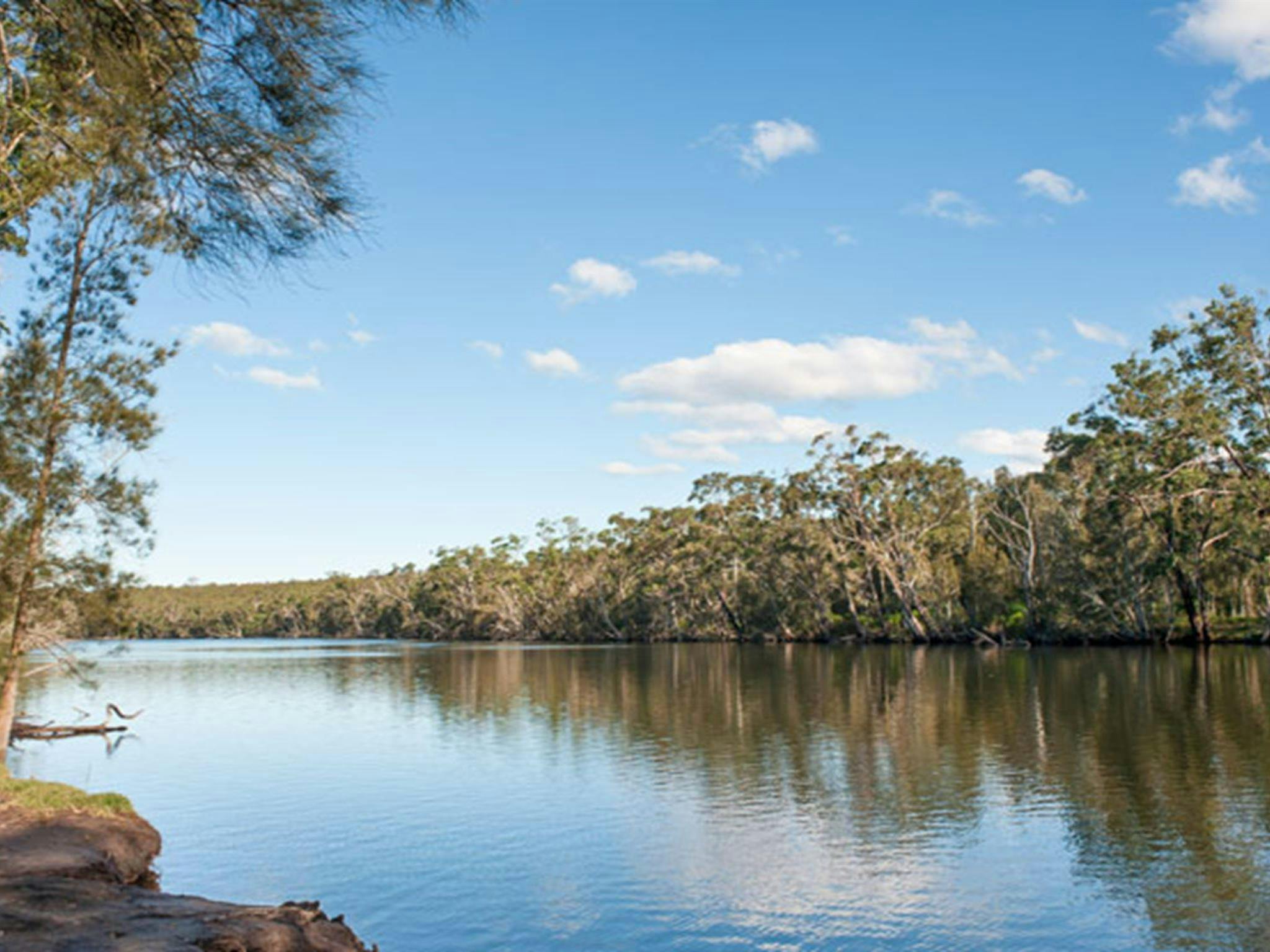 Wandandian Creek in Corramy Regional Park. Photo: Michael van Ewijk &copy; DPIE