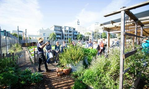 Pocket City Farms Community Volunteering