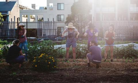 Pocket City Farms Community Volunteering