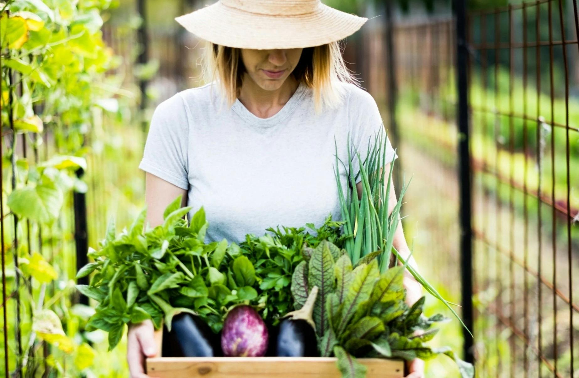 Pocket City Farms Community Volunteering