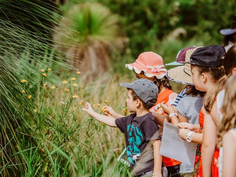 Wollongong Botanic Garden - Autumn School Holiday Activities