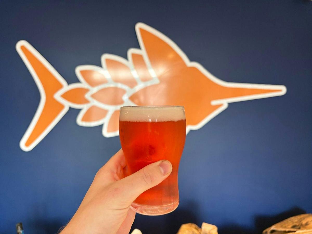 Sunday Sessions at Swordfish Brewing