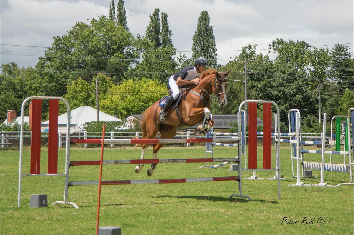 Tenterfield Show