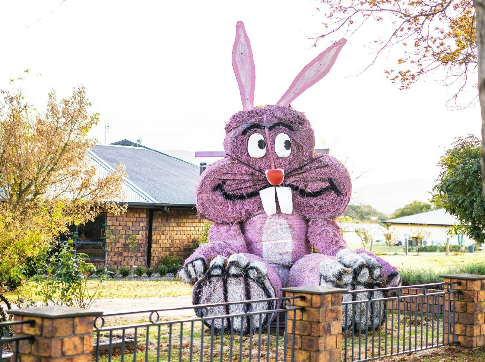 Hay bale art at Tenterfield's Autumn Festival