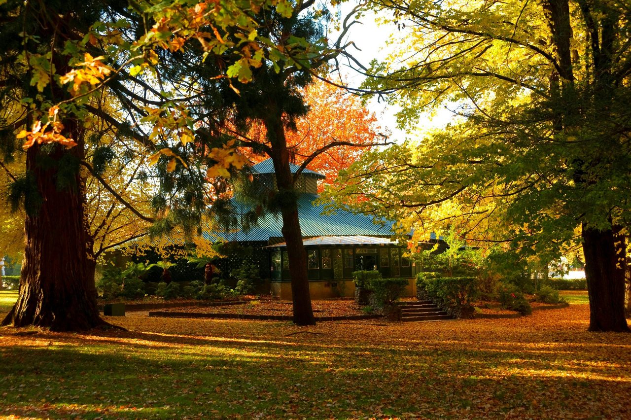 The Fernery, Cook Park