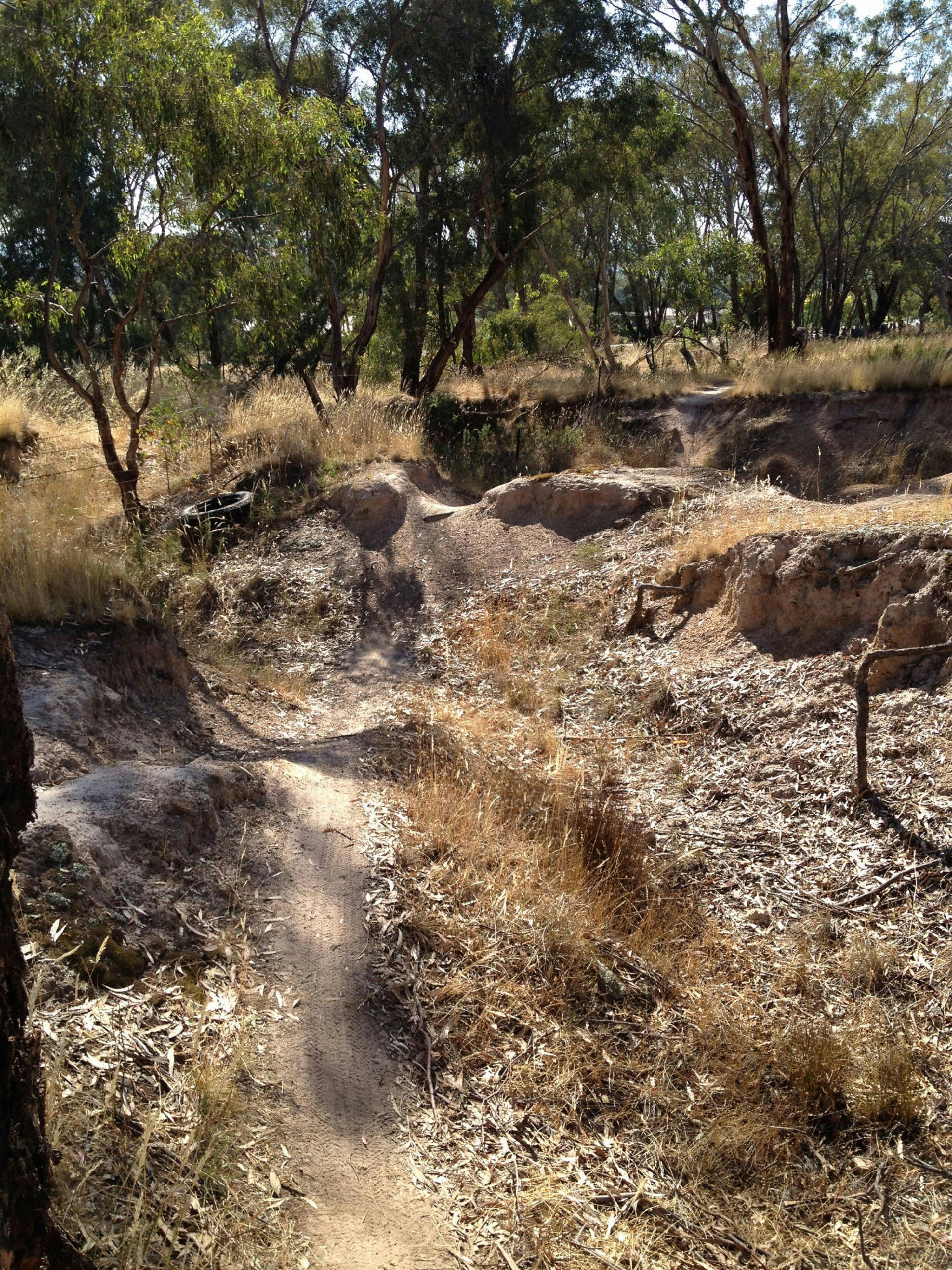 Mountain bike track